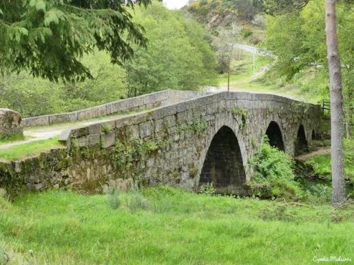 Ponte Pedrinha